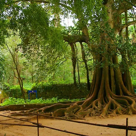 Hotel Quinta Lagrimas - Small Luxury Coimbra