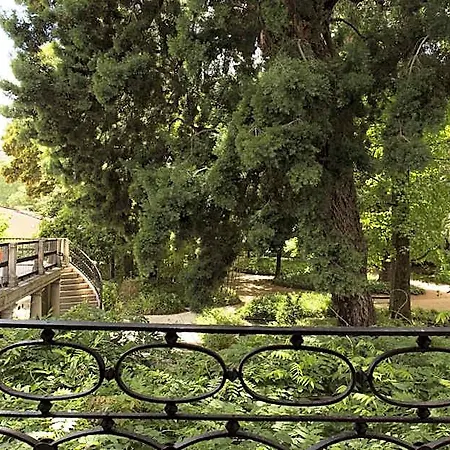 Quinta Lagrimas - Small Luxury Κοΐμπρα