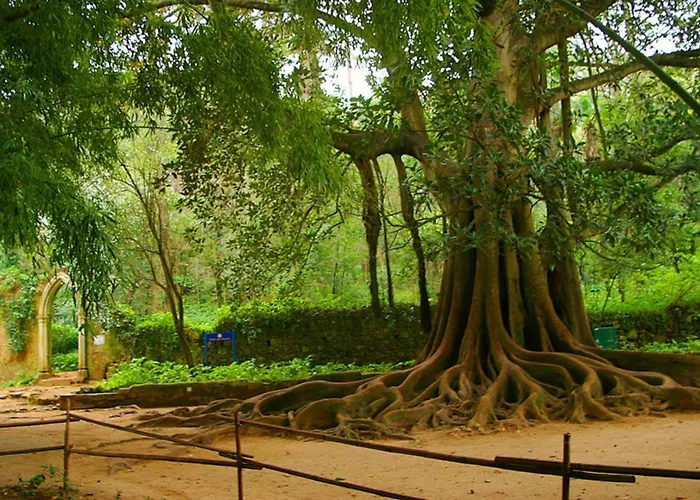 Hotel Quinta Lagrimas - Small Luxury Coimbra